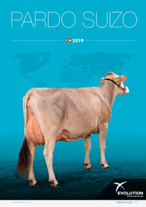 Brown Swiss - ES 2019 - Evolution International