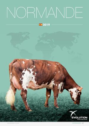 Normande - ES 2019 - Evolution International