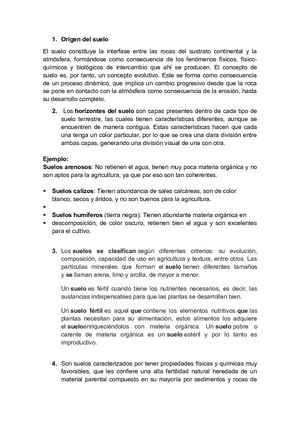 Origen Del Suelo