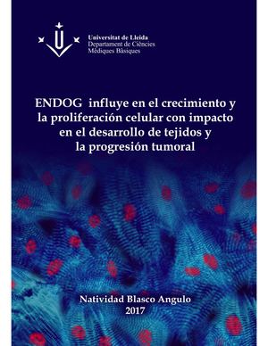 Fisiologia Y Anatomia Cardiaca