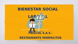 Marco Conceptual Bienestar Social