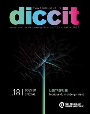 Diccit n°33 - Octobre 2019