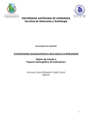 Objeto 3 Indicadores demográficos