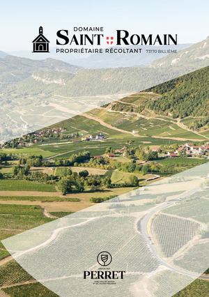 Chemin Vignerons - Domaine Saint Romain