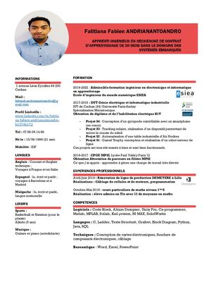 CV Falitiana ANDRIANANTOANDRO