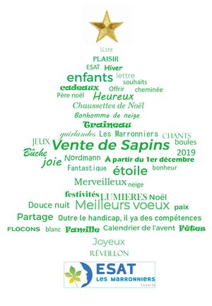 Flyer Vente De Sapins