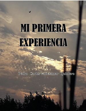 MI PRIMERA EXPERIENCIA
