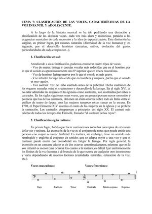 Clasificación de voces