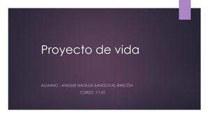Proyecto De Vida 2 Converted