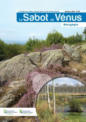 Sabot de Vénus 49 en Bourgogne