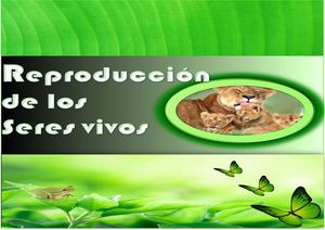 Libro interactivo con RA