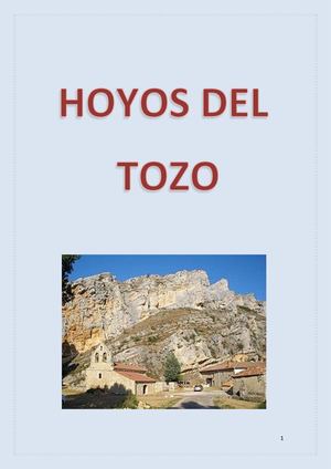 Hoyos