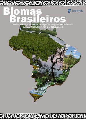 Capa, Editorial E Relatos Com Imagems