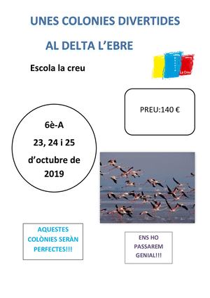 Ens Preparem Les Nostres Colònies