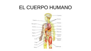 Cuerpo Humano Presentación J