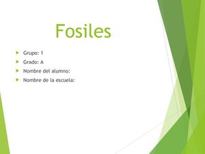 Fosiles, Proyecto