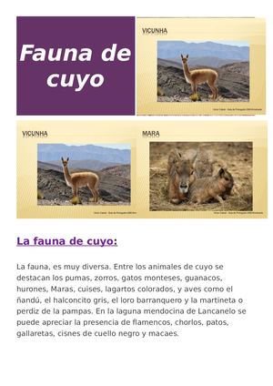 Trabajo de la REGIÓN DE CUYO 4to 2