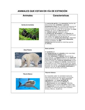 Animales Que Estan En Vía De Extinción