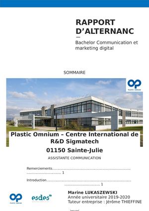 Rapport d'Alternance