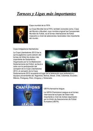 Torneos Y Ligas Más Importantes