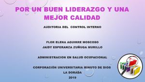 Act 3 Control Interno Celema