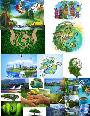 Ecologia Humana Revista Aidee Andrea