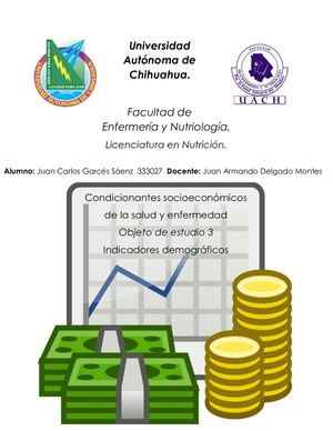 Indicadores Demográficos Oficial
