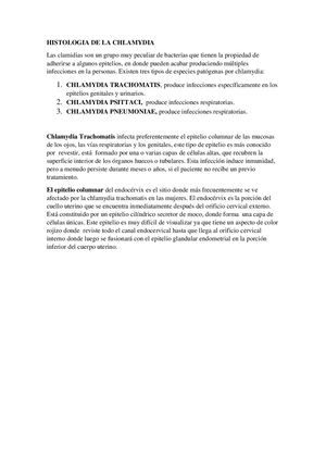 Histologia De La Chlamydia