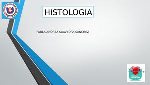 Histologia Cerebelo