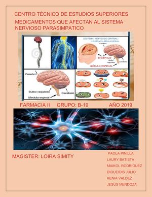 Medicamentos Que Afectan Al Sistema Nervioso Parasimpatico