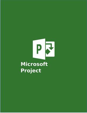 Manual de Usuario Microsoft Project