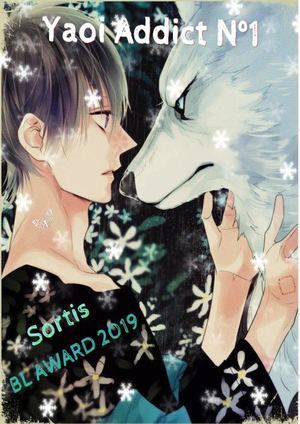 Magazine Yaoi Addict N°1