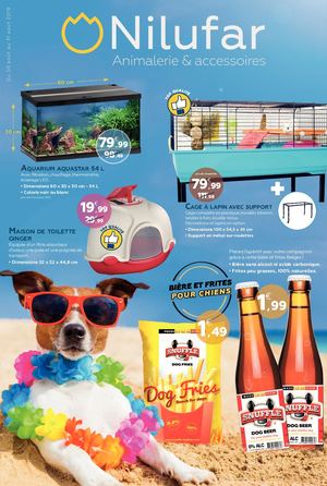 Tract publicitaire août 2019 / Nilufar