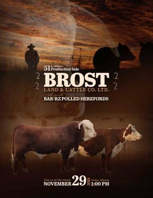 2019 Brost Catalogue