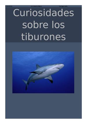 Curiosidades Sobre Los Tiburones