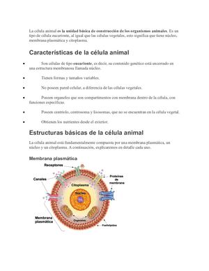 REVISTA ERICKA Y MICHELLE