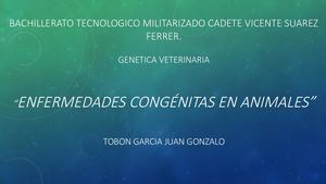 Enfermedades Congenitas En Animales