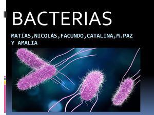 Power Point Sobre Bancterias