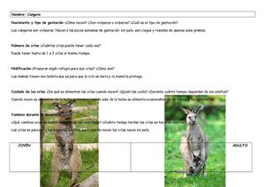 Canguro Dani Y Douglas