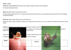 Nahuel Y Facu Caracol