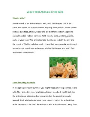 Leave Wild Animals In The Wild