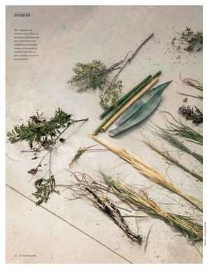 Le labo du design bio-A. Duyck