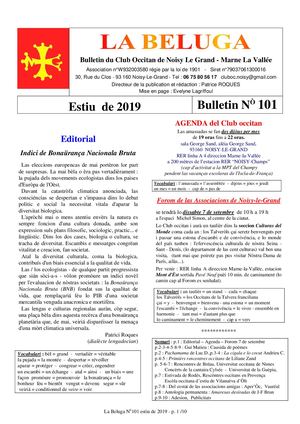 Beluga 101 Estiu 2019