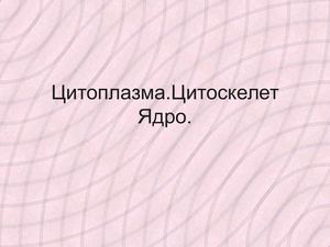 Цитоплазма Цитоскелет Ядро Хромосомы