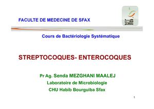 Streptocoques Enterocoques Dcem1 2019 2020
