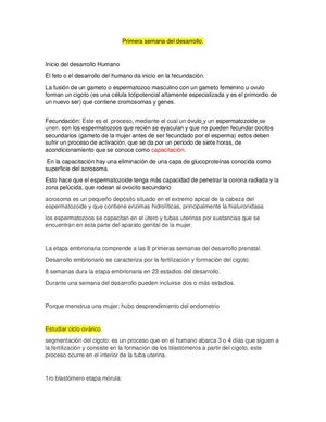Embrio Primera Semana
