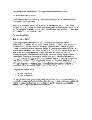 Trabajo Explicando Vía Anaerobica Lactica Y Alactica