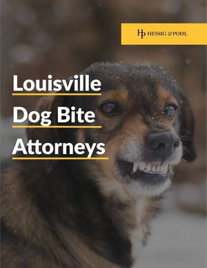 Louisville Dog Bite Attorneys