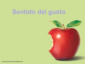 El Sentido Del Gusto