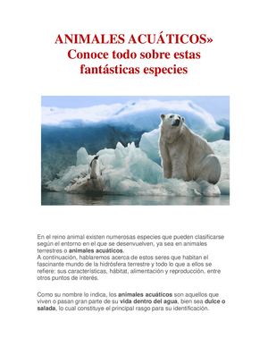 Animales Acuaticos Gbi
